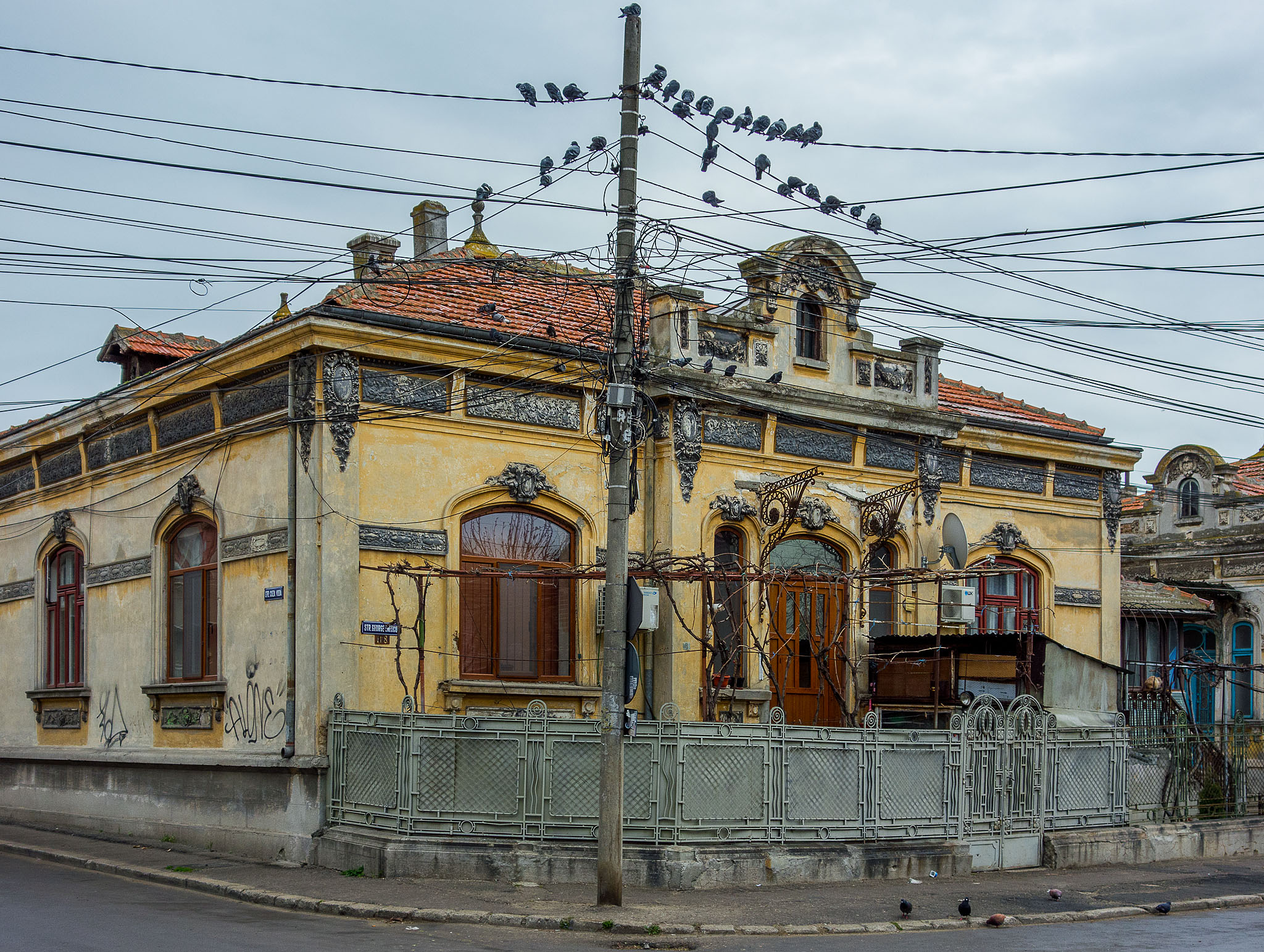  DSC0239